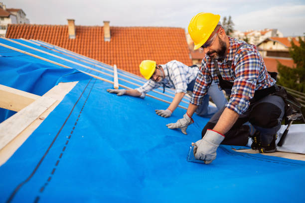 Best Roof Gutter Cleaning  in Highlands, TX
